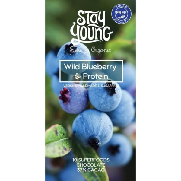 Sugar free raw chocolate with wild blueberry and protein 44g